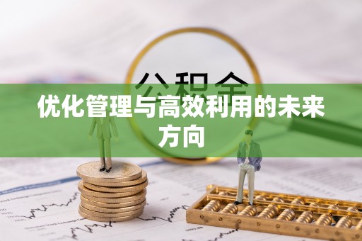 玉门优化管理与高效利用的未来方向