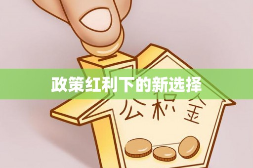 玉门政策红利下的新选择