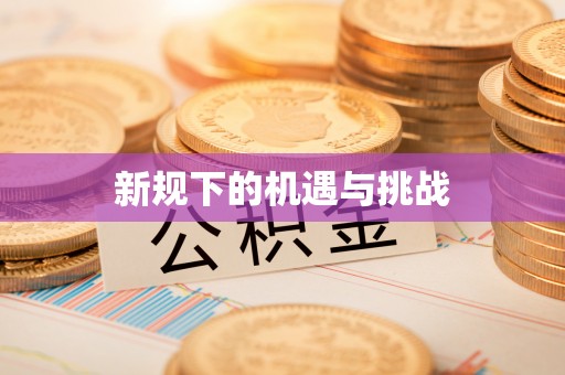 玉门新规下的机遇与挑战